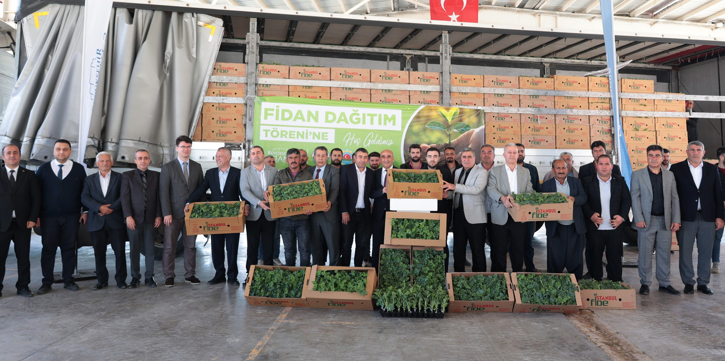 Karpuz Fide Desteği