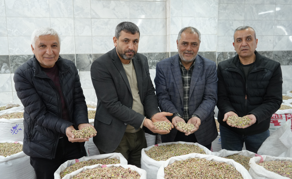 Antep Fıstığıı