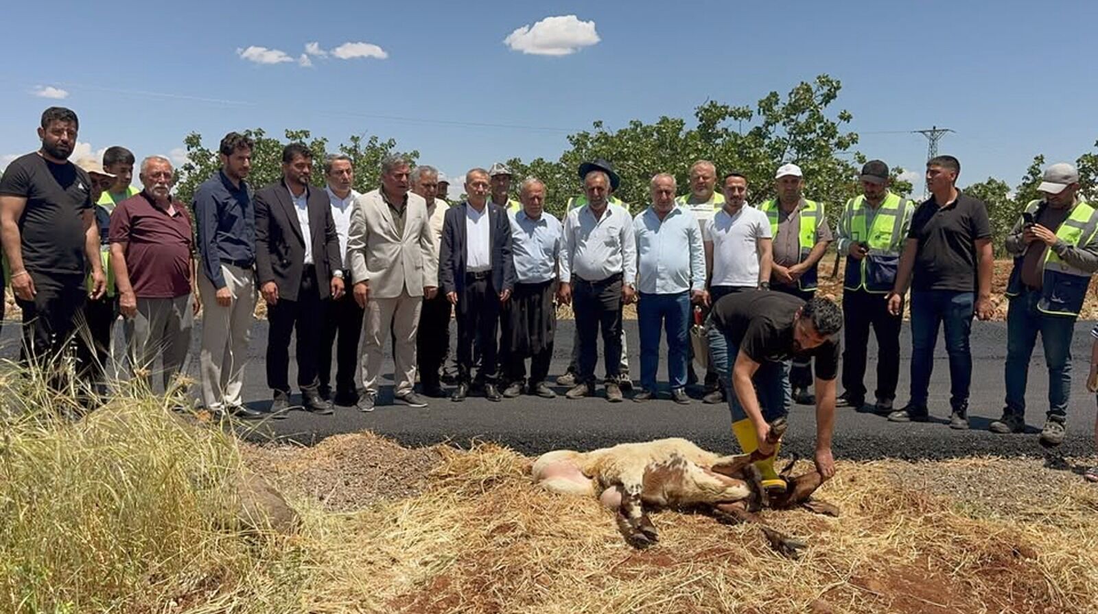 Araban Ilçesinde Vatandaşlar Asfalt Için Kurban Kesti (2)
