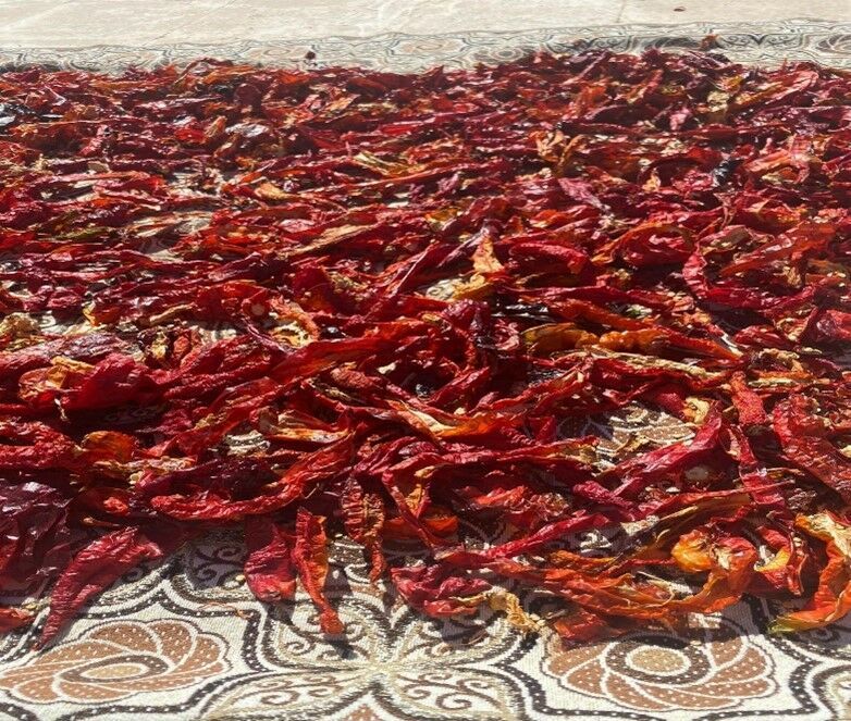 Islahiye Biberi