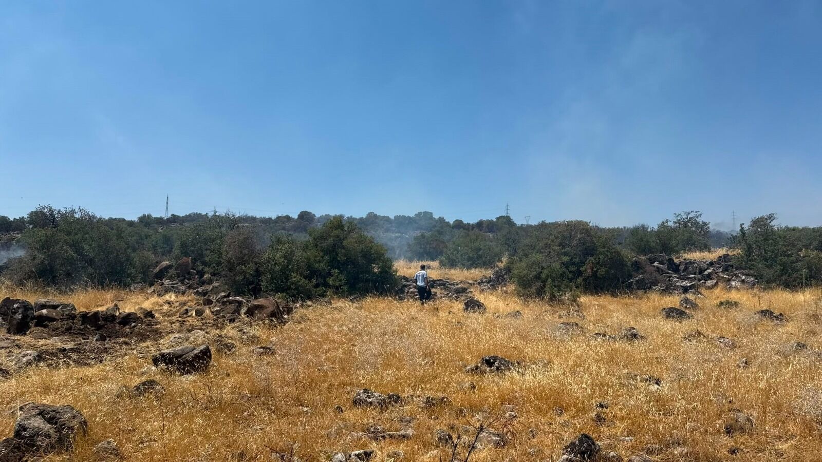 Gaziantep’te Korkutan Orman Yangını (3)