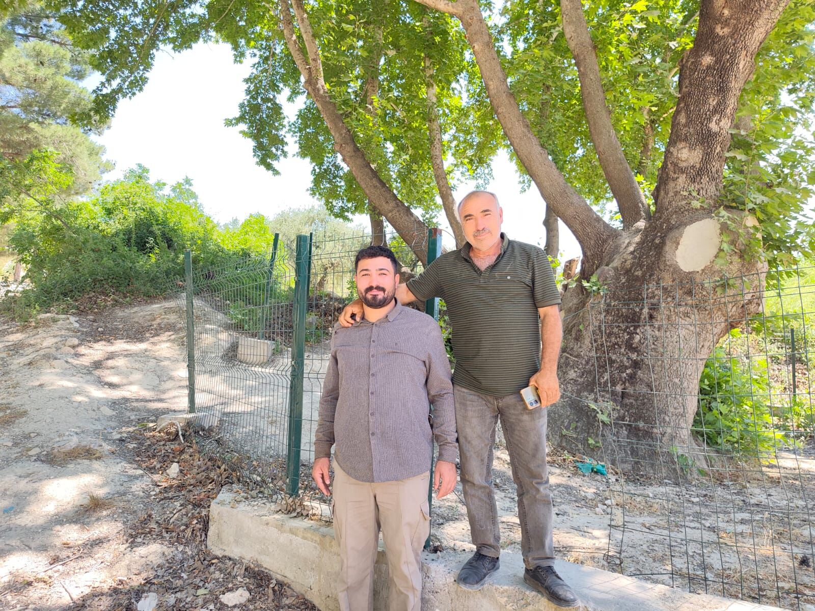 Ulu Çinar (2)