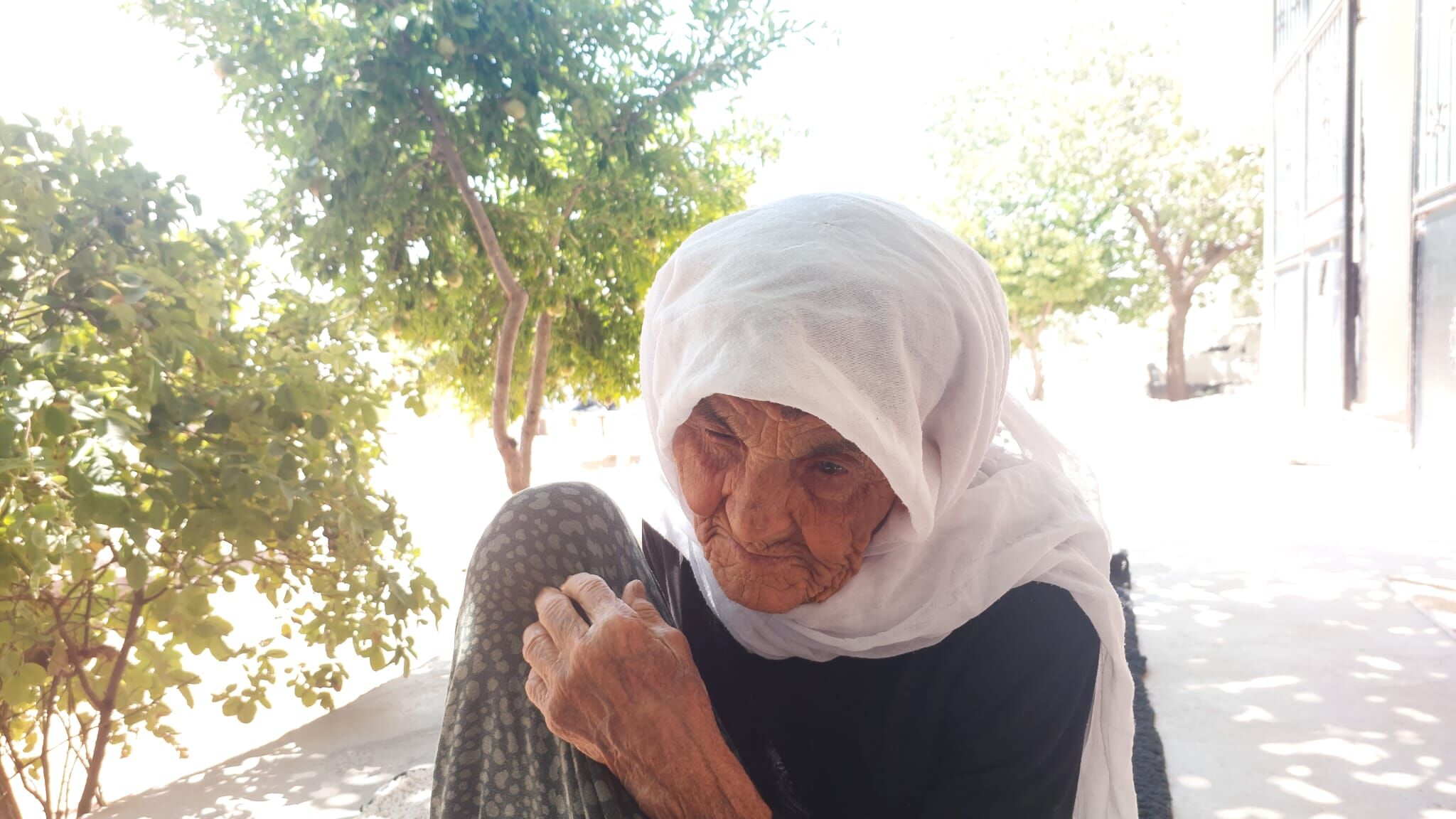 120Yaşındakinene (2)