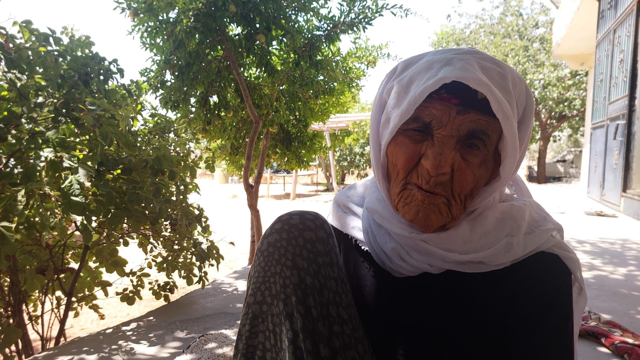 120Yaşındakinene (5)