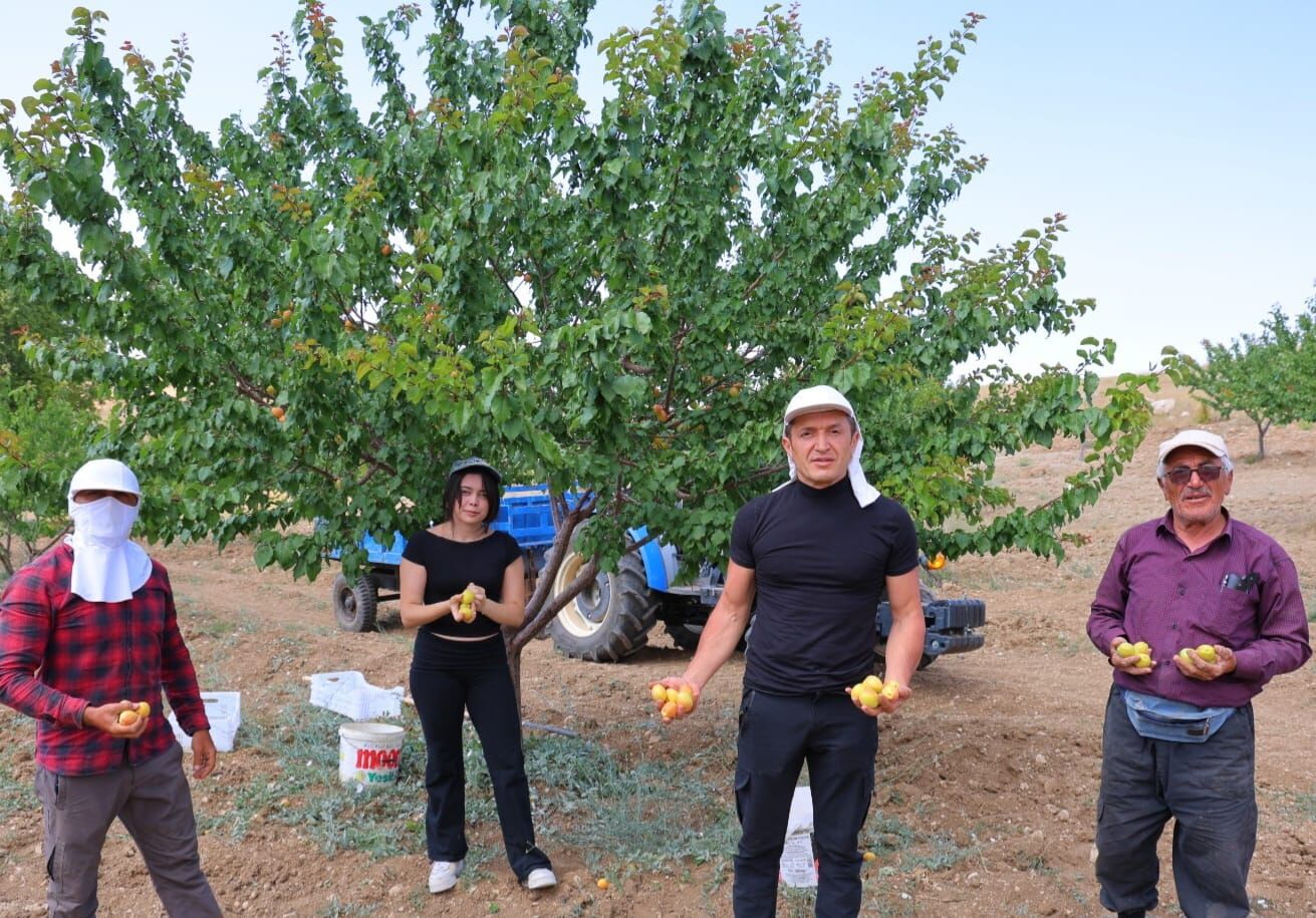 17Yaşındaproje.. (2)