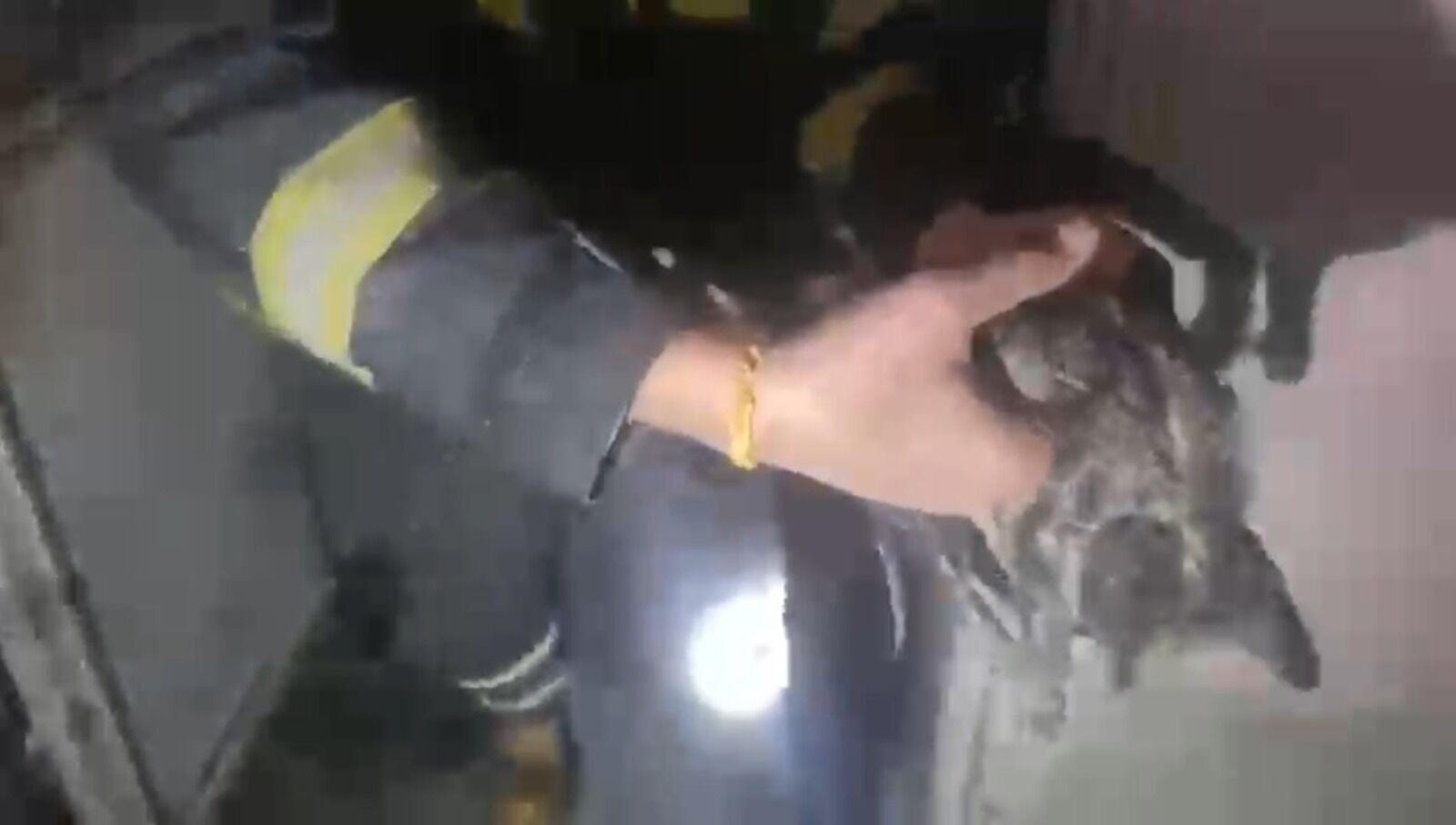 Kedi2-1