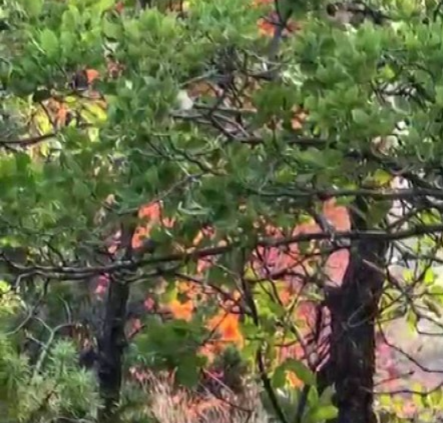Örtü Yangını Diyarbakır (2)
