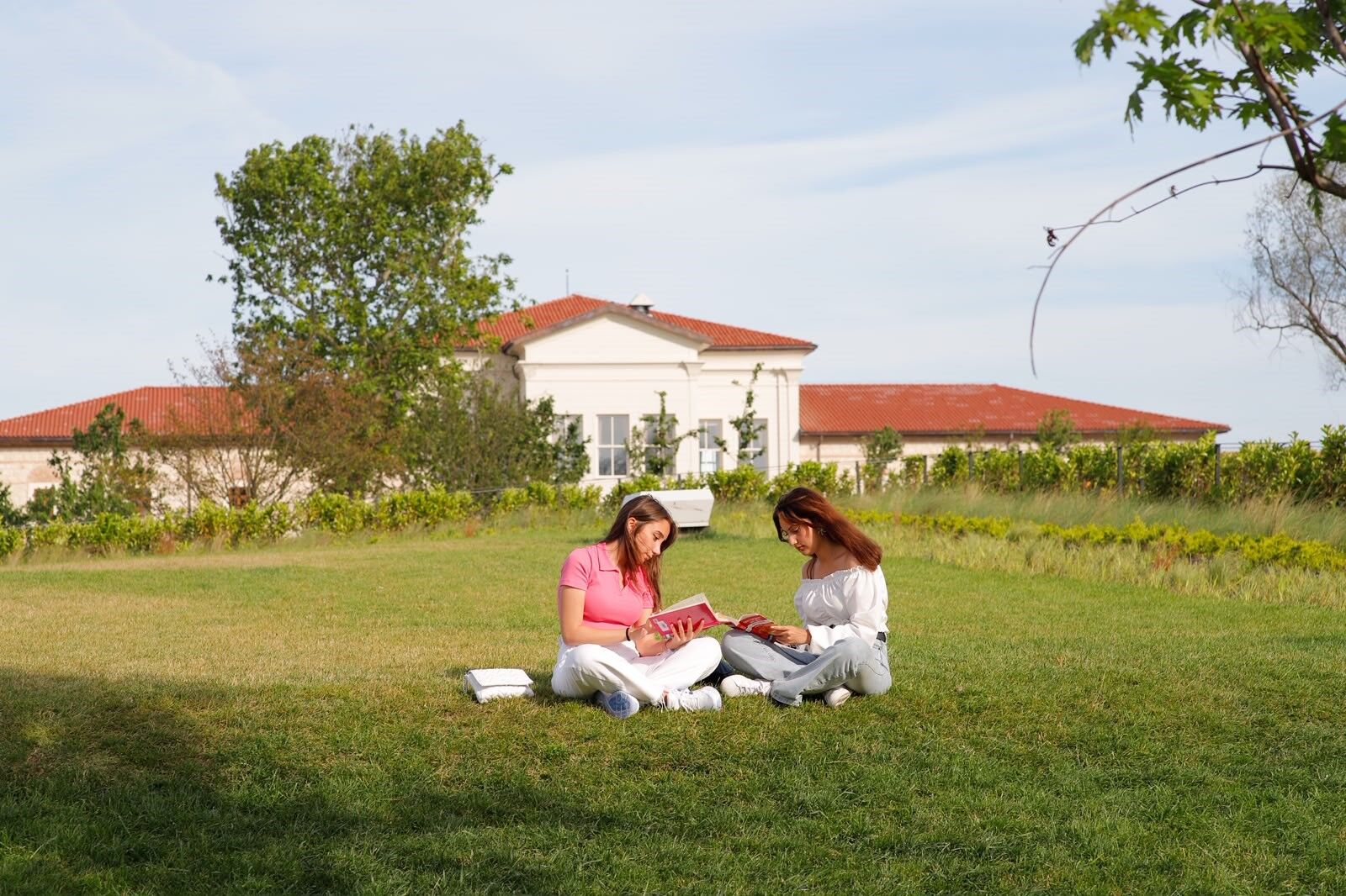 Yeşil Kütüphane (3)