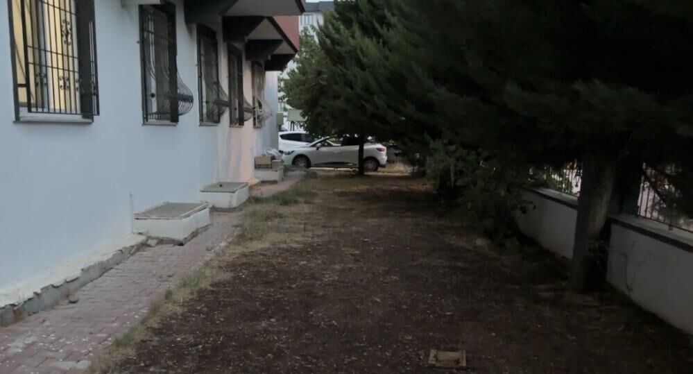 Aile Faciası (2)