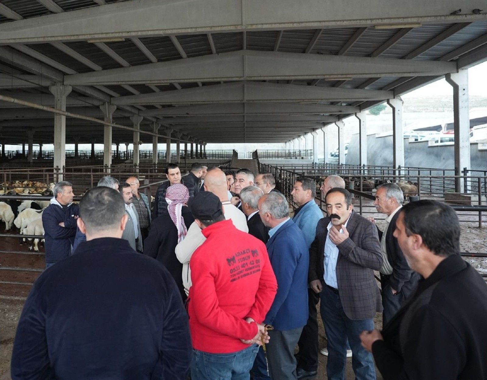 Umut Yılmaz duyurdu: Uygun fiyatlı et satış yeri belli oldu